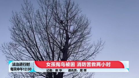 加盟童装挣钱吗女孩掏鸟被困 消防苦救两小时