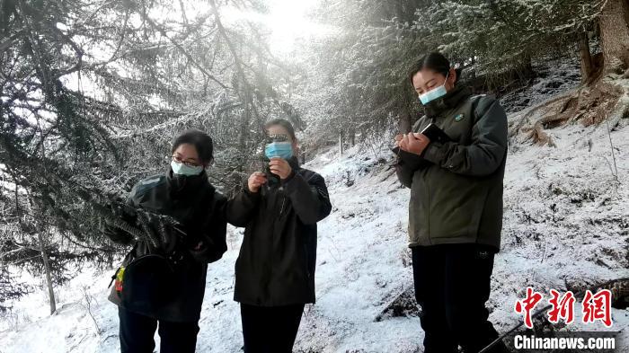 祁连山女子管护队：虽然很苦但从未想过放弃